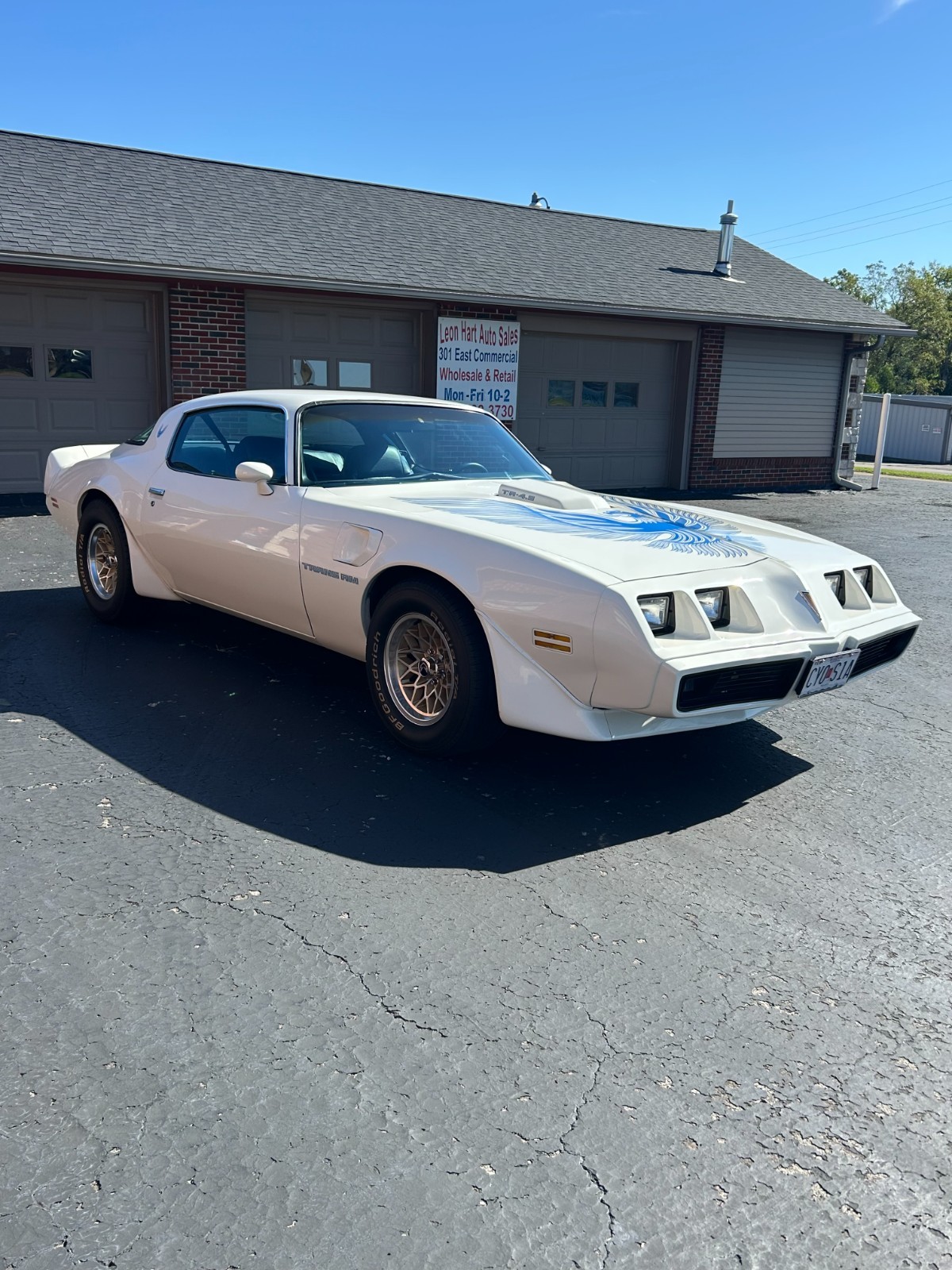 Pontiac-Trans-Am-1981-Coupe-3