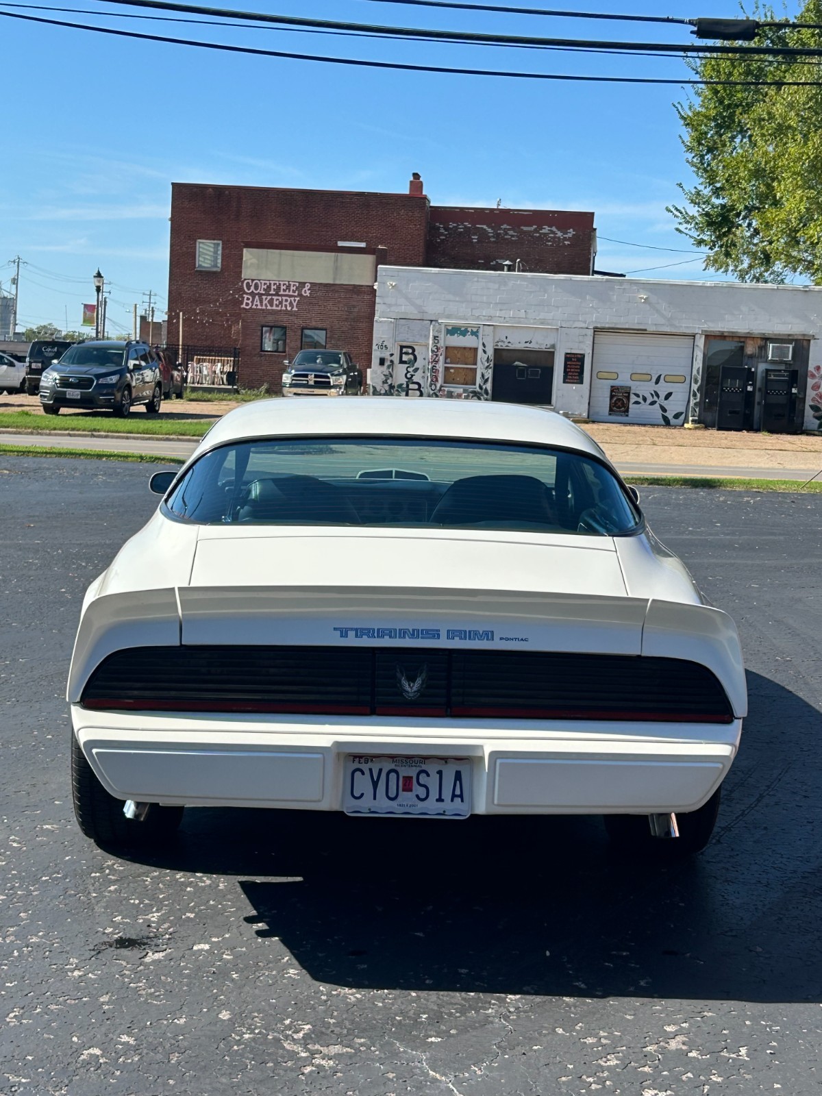 Pontiac-Trans-Am-1981-Coupe-6