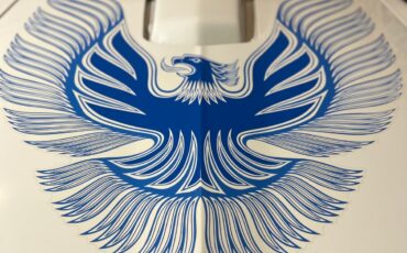 Pontiac-Trans-Am-1981-Coupe-8