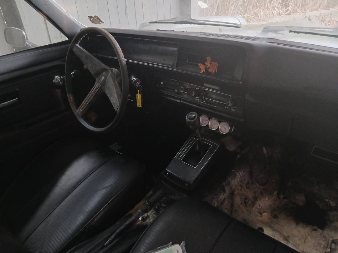 Pontiac-astre-wagon-1977-silver-10