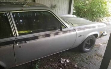 Pontiac-astre-wagon-1977-silver