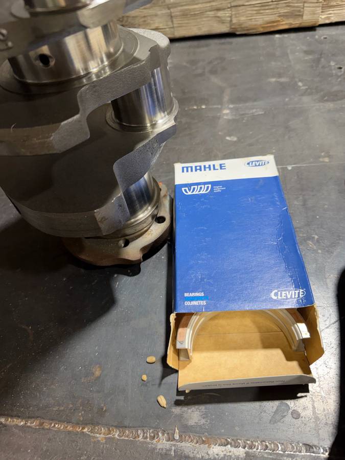 Pontiac-cats-1964-17