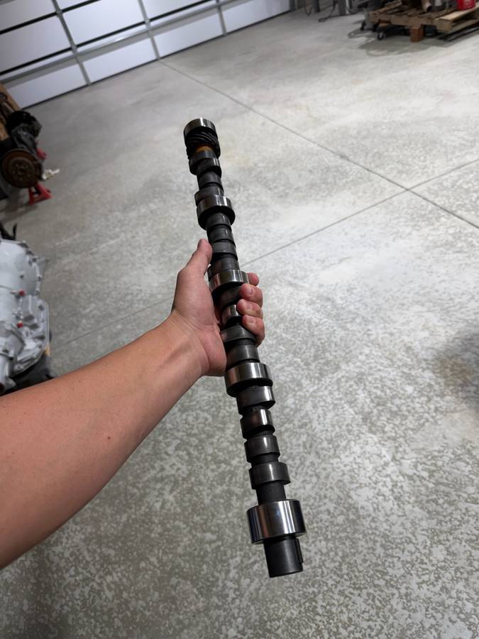 Pontiac-cats-1964-18