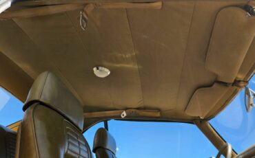 Pontiac-firebird-1969-8