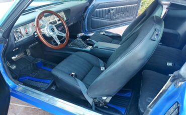 Pontiac-firebird-1978-11