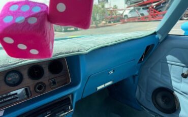Pontiac-firebird-1978-blue-263