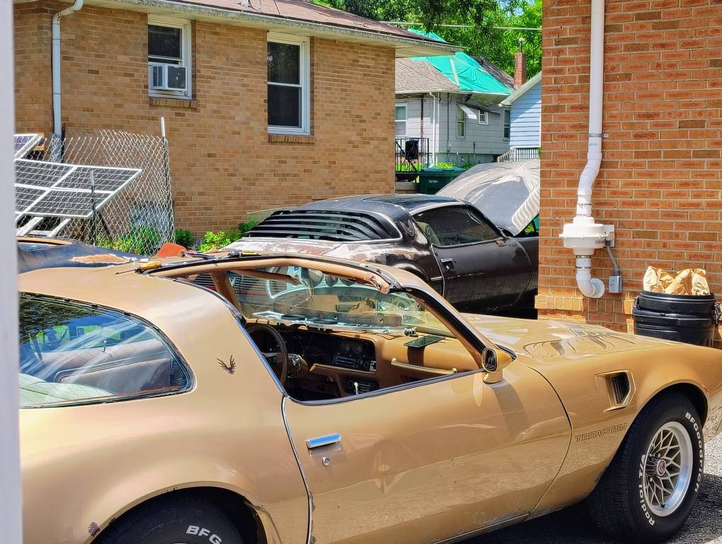 Pontiac-firebird-1980-1