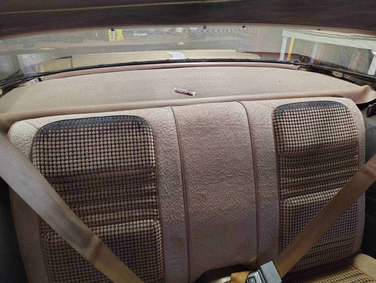 Pontiac-firebird-1980-4