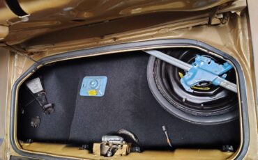 Pontiac-firebird-1980-8