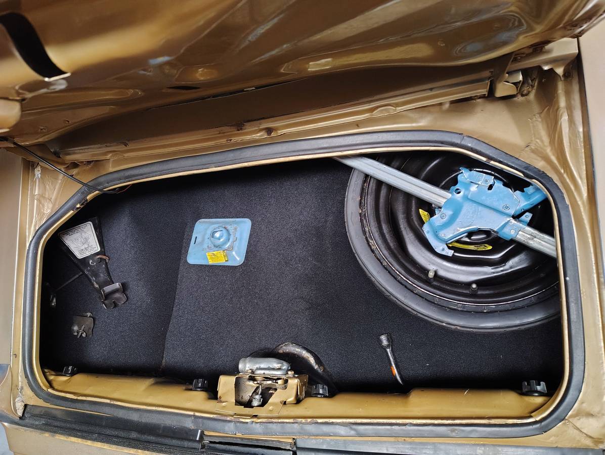 Pontiac-firebird-1980-8