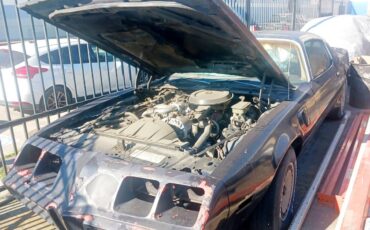 Pontiac-firebird-1981-1