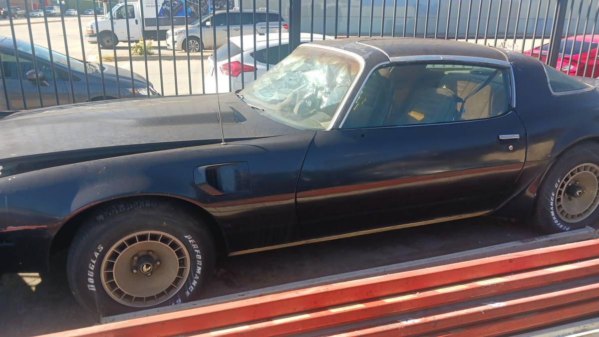 Pontiac-firebird-1981