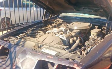 Pontiac-firebird-1981-2