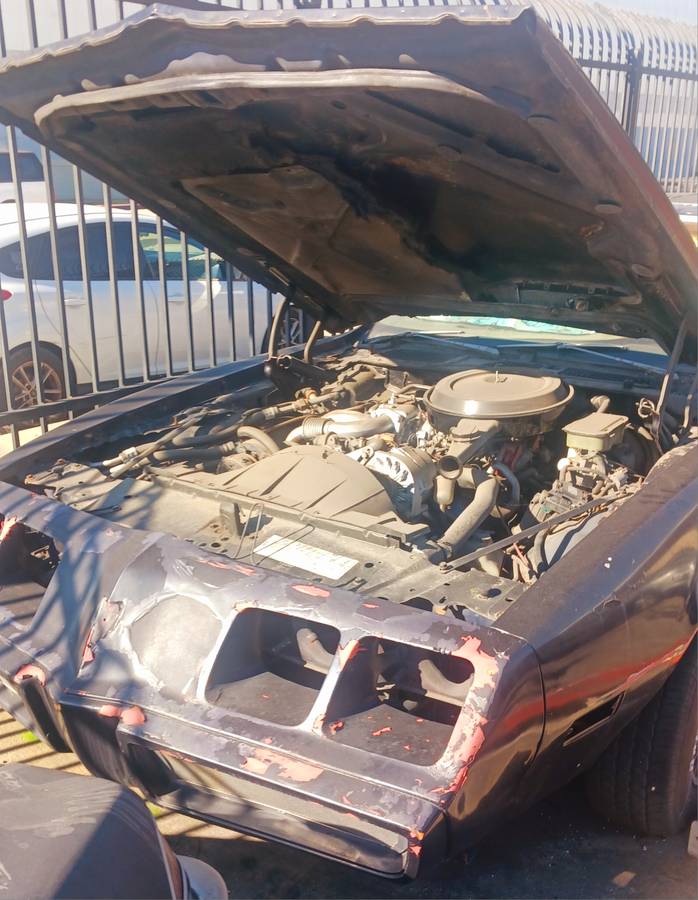 Pontiac-firebird-1981-2