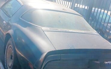 Pontiac-firebird-1981-3