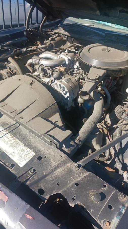 Pontiac-firebird-1981-4