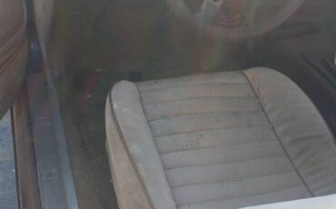 Pontiac-firebird-1981-5