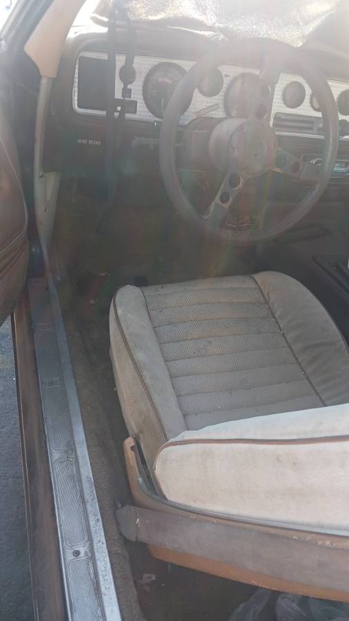 Pontiac-firebird-1981-5