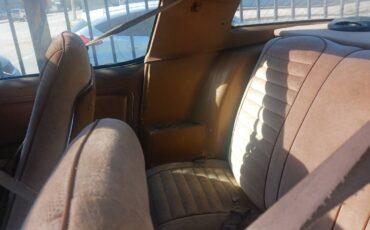 Pontiac-firebird-1981-6