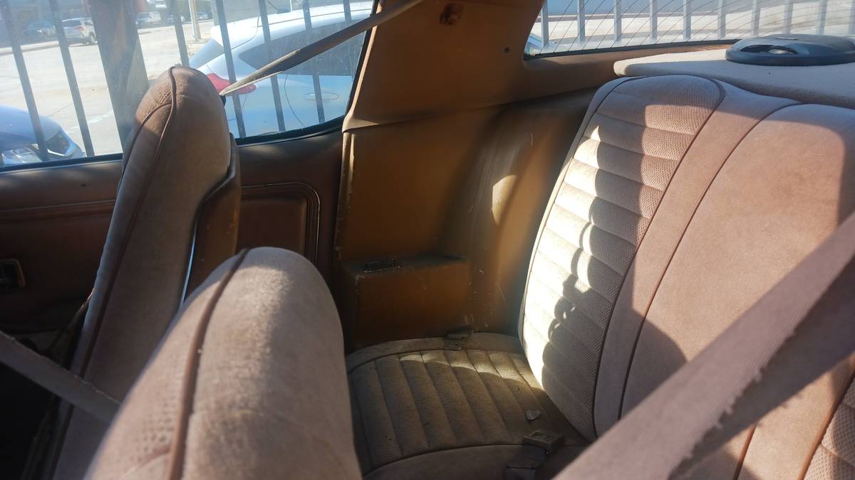 Pontiac-firebird-1981-6