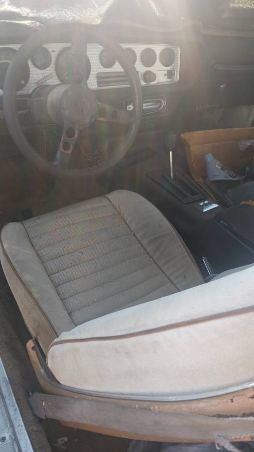 Pontiac-firebird-1981-7