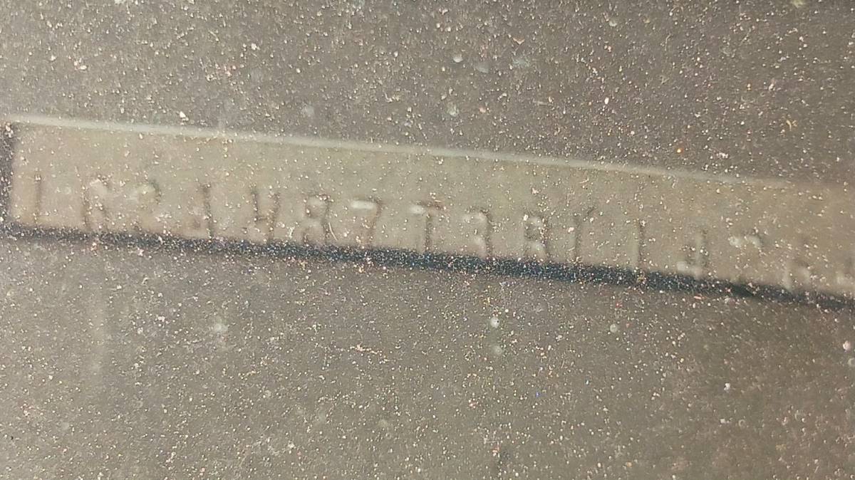 Pontiac-firebird-1981-8