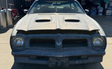 Pontiac-firebird-formula-400-1976-silver-10