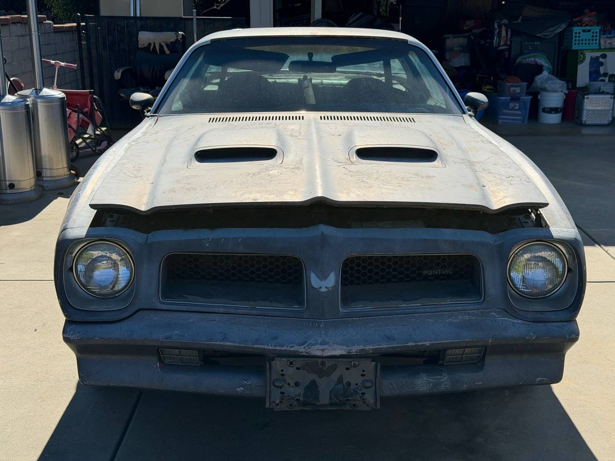 Pontiac-firebird-formula-400-1976-silver-10