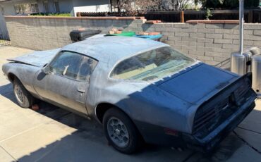 Pontiac-firebird-formula-400-1976-silver-11