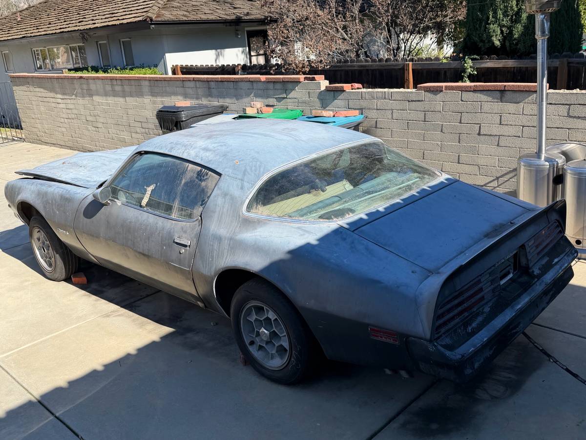 Pontiac-firebird-formula-400-1976-silver-11