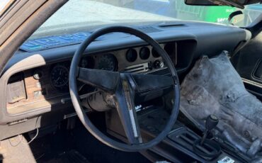 Pontiac-firebird-formula-400-1976-silver-13