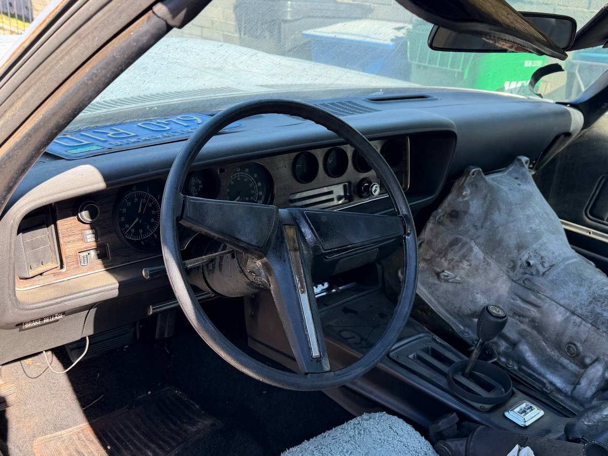 Pontiac-firebird-formula-400-1976-silver-13