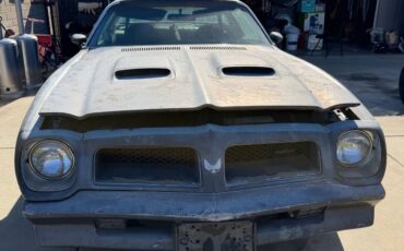 Pontiac-firebird-formula-400-1976-silver-16