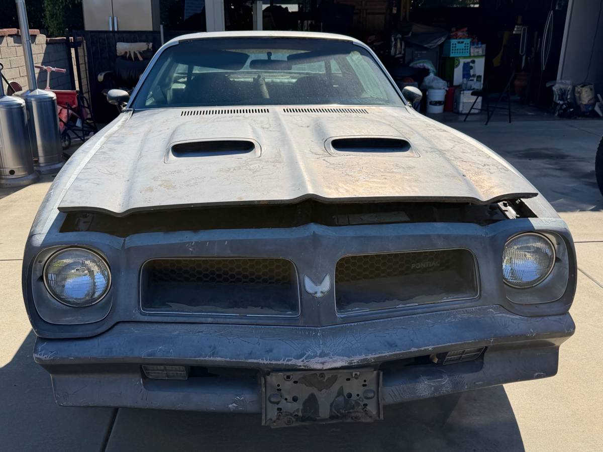 Pontiac-firebird-formula-400-1976-silver-16