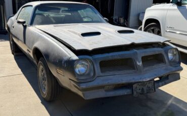 Pontiac-firebird-formula-400-1976-silver