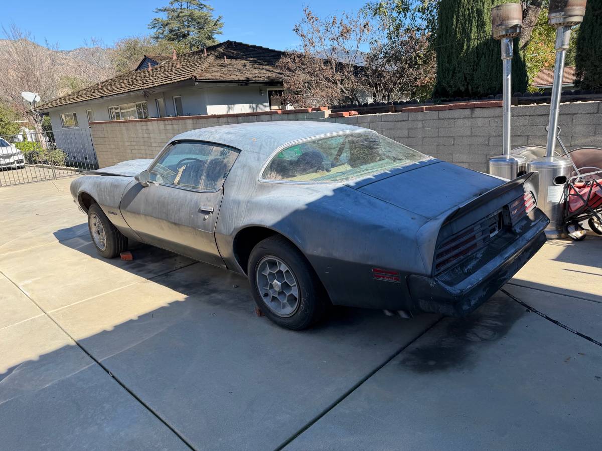 Pontiac-firebird-formula-400-1976-silver-5