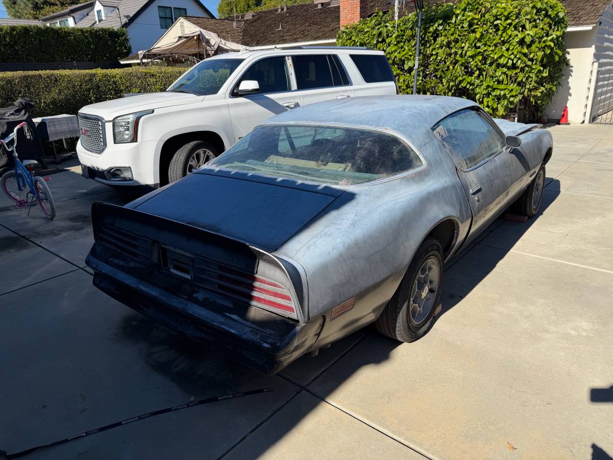 Pontiac-firebird-formula-400-1976-silver-6