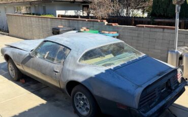 Pontiac-firebird-formula-400-1976-silver-7