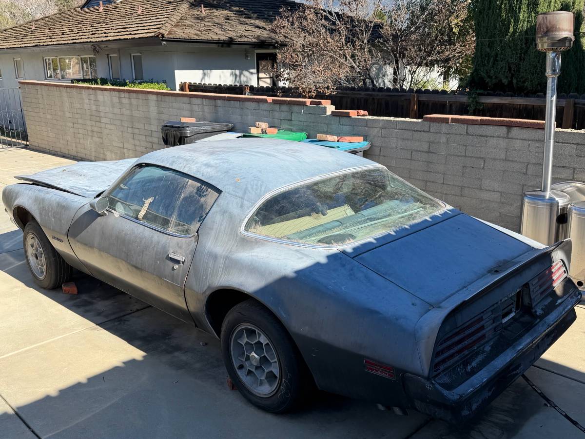 Pontiac-firebird-formula-400-1976-silver-7