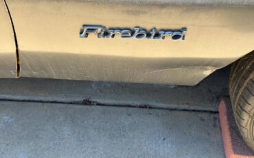 Pontiac-firebird-formula-400-1976-silver-8