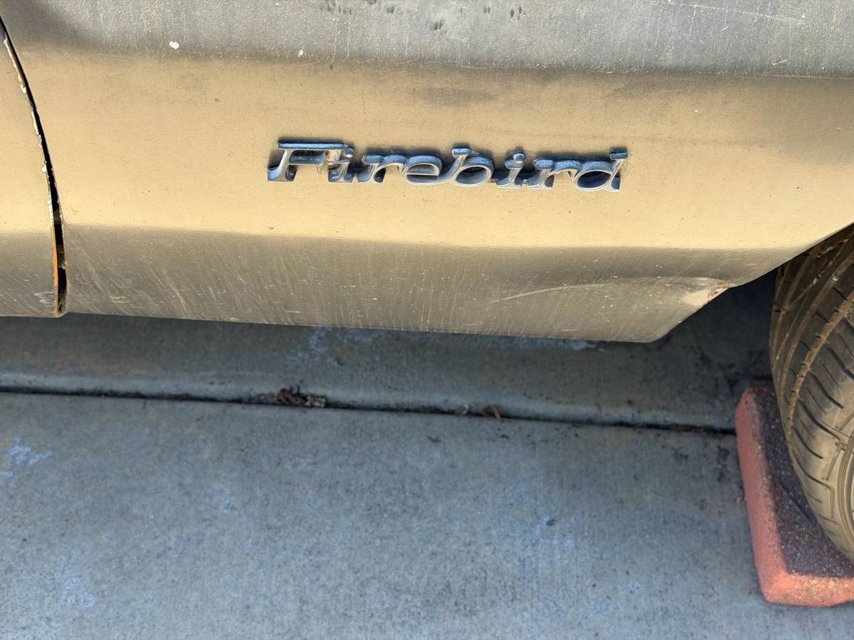 Pontiac-firebird-formula-400-1976-silver-8