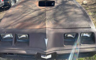 Pontiac firebird trans am 1979