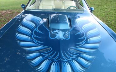 Pontiac-firebird-trans-am-1979-4
