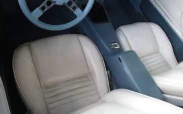 Pontiac-firebird-trans-am-1979-6