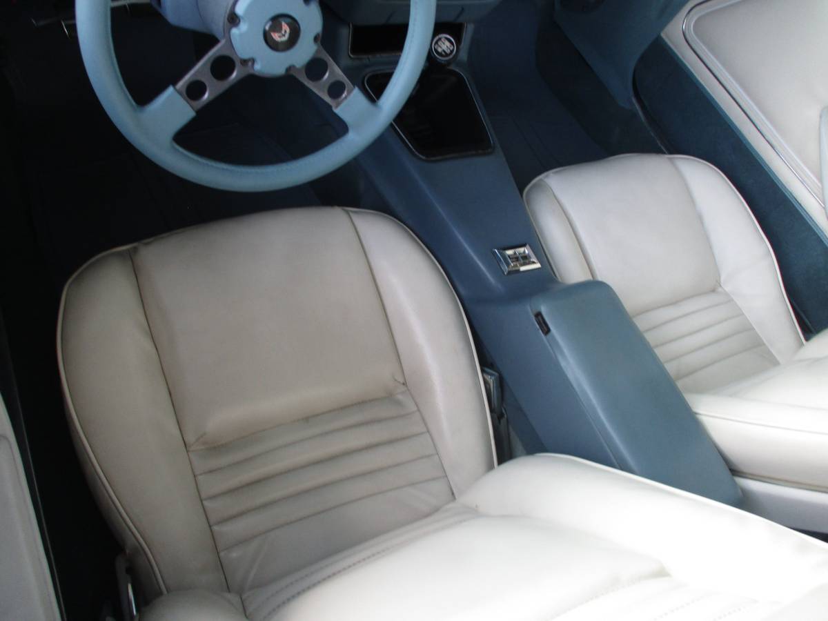 Pontiac-firebird-trans-am-1979-6