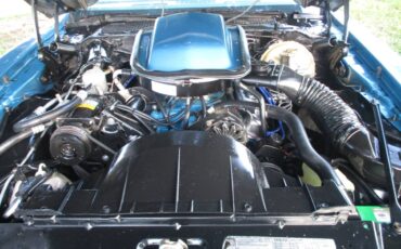 Pontiac-firebird-trans-am-1979-8
