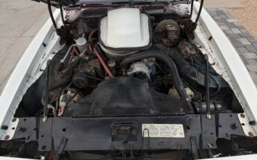 Pontiac-firebird-trans-am-1979-white-14