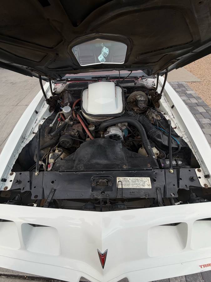 Pontiac-firebird-trans-am-1979-white-14