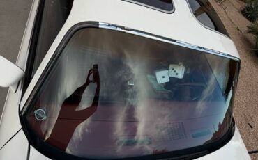 Pontiac-firebird-trans-am-1979-white-15