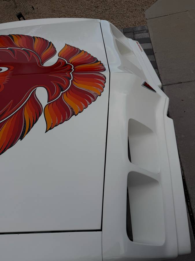 Pontiac-firebird-trans-am-1979-white-7